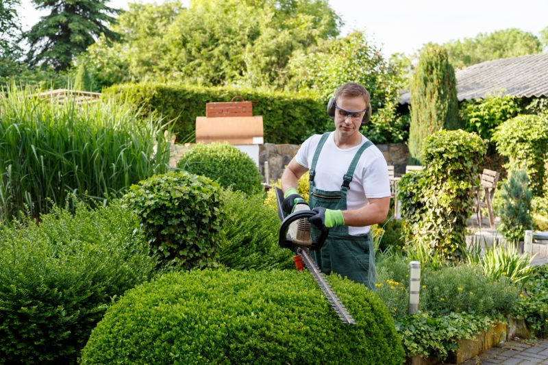 Hedge Removal Service in Aiken, SC