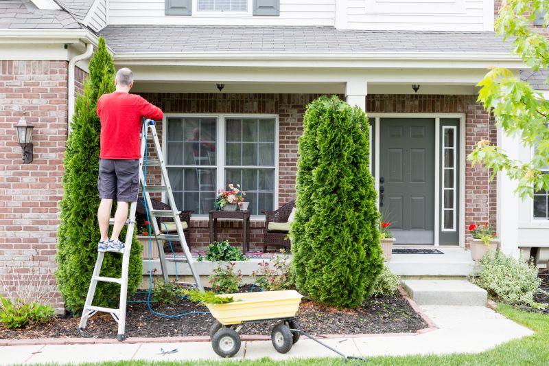Arborvitae Pruning in Rockwall, TX