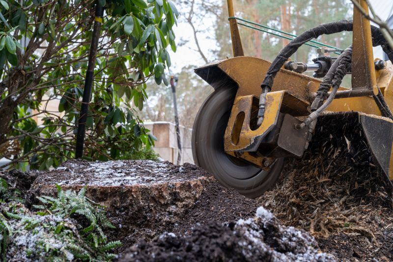 Bush Stump Grinding in Aiken, SC