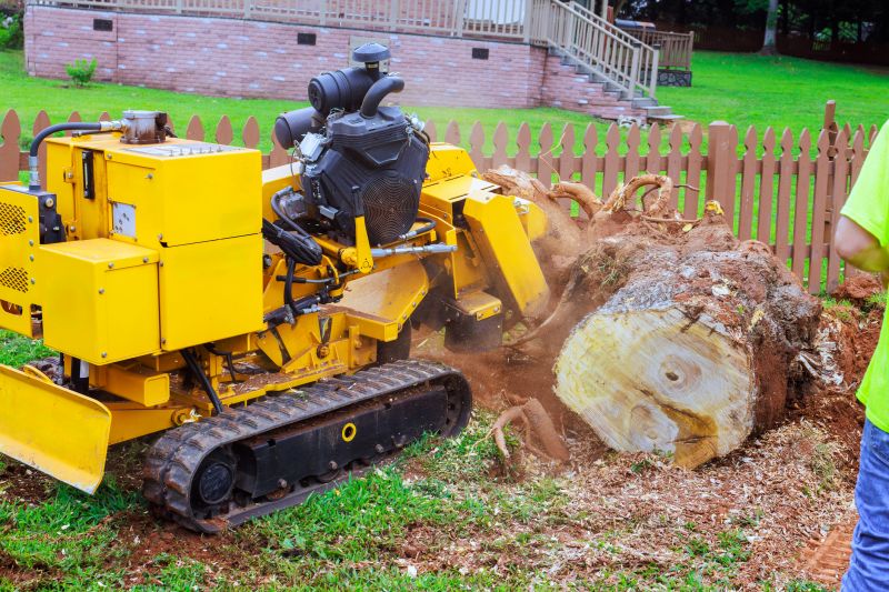 Bush Stump Grinding in Calvert County, MD