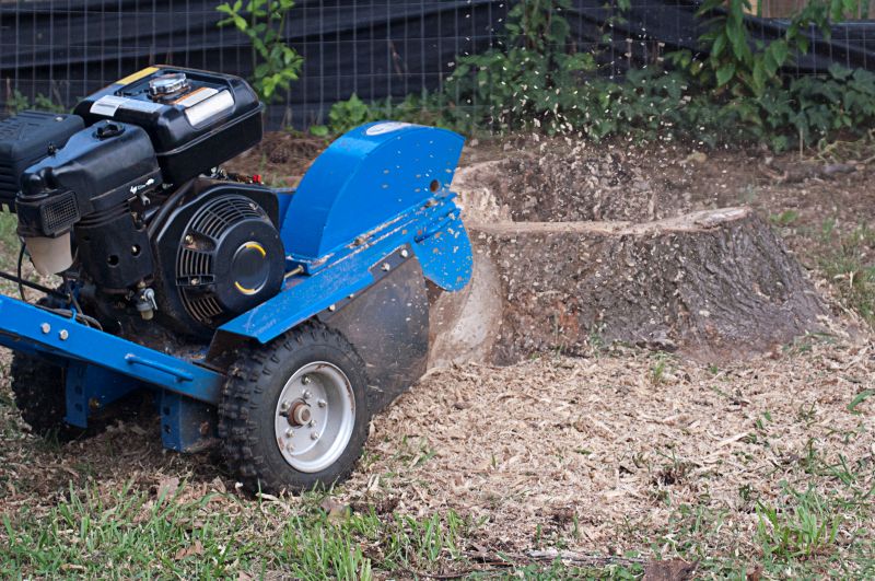 Commercial Stump Grinding in Calvert County, MD