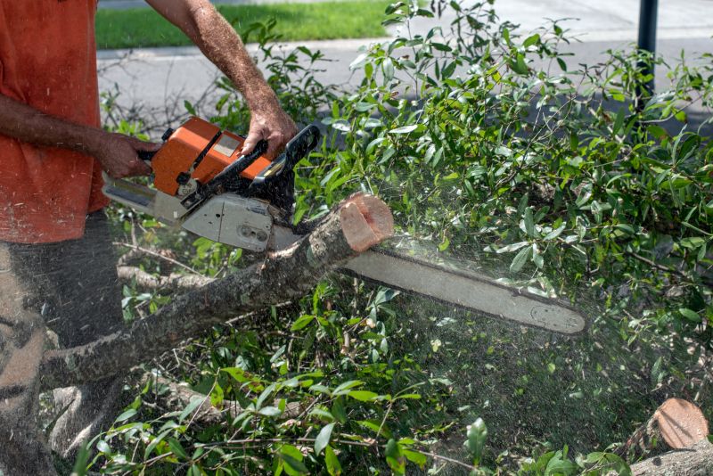 Commercial Tree Trimming in Doylestown, PA