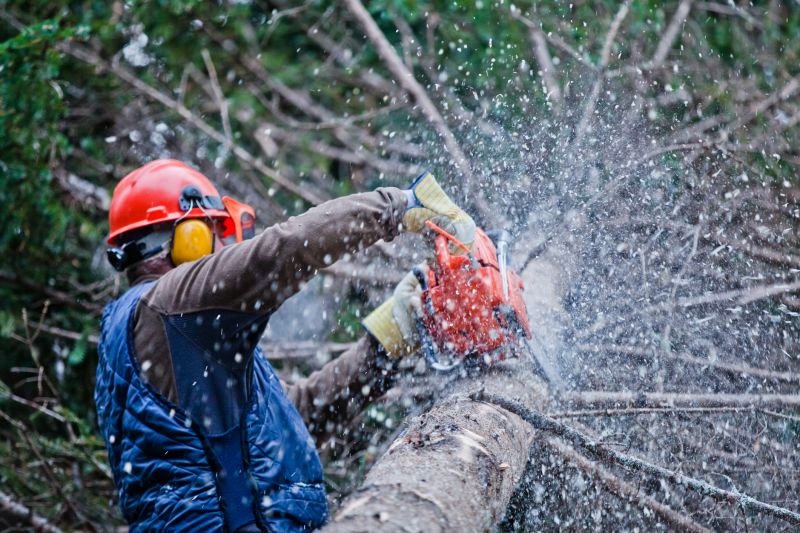Commercial Tree Trimming in Montgomery County, PA