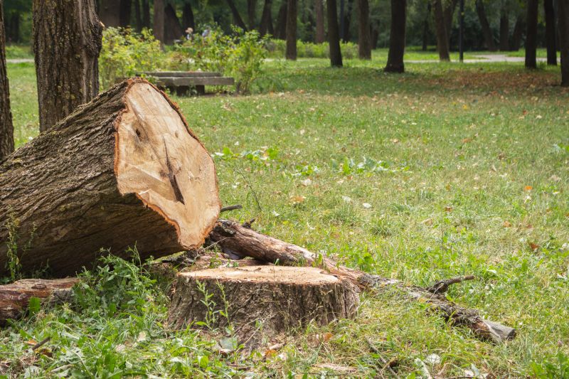 Dead Tree Removal in Bucks County, PA