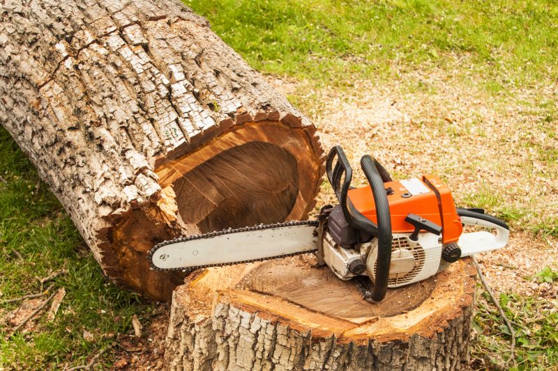 Deadwood Removal in Pottstown, PA