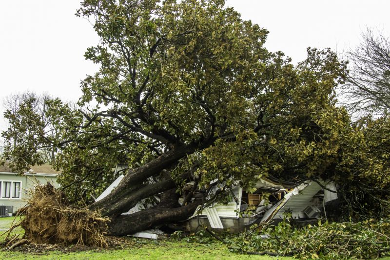Fallen Tree Removal in Bucks County, PA