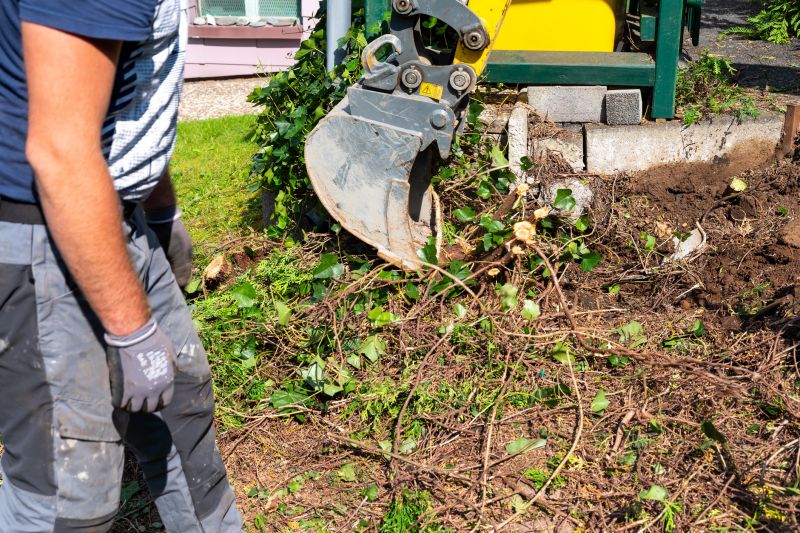 Hedge Removal Service in Aiken, SC