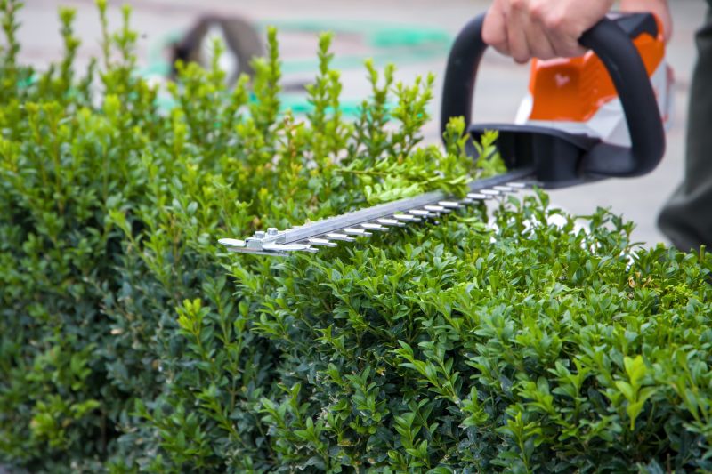 Hedge Removal Service in Aiken, SC