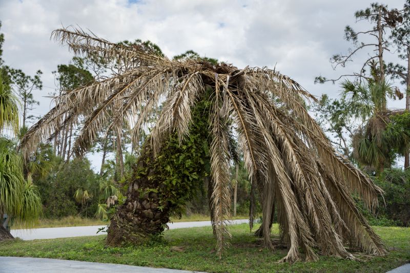 Palm Tree Removal in Bucks County, PA