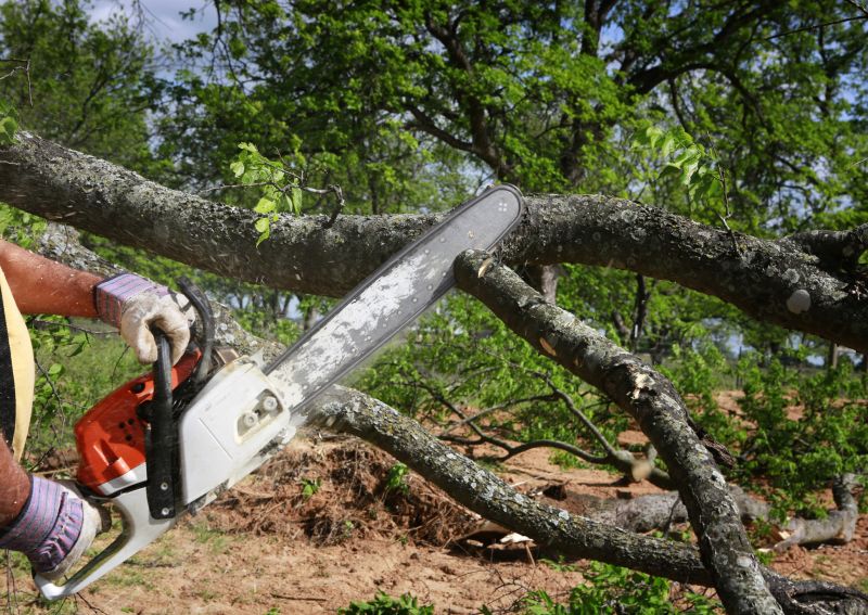 Residential Tree Service in Doylestown, PA