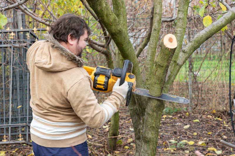 Residential Tree Service in Bucks County, PA