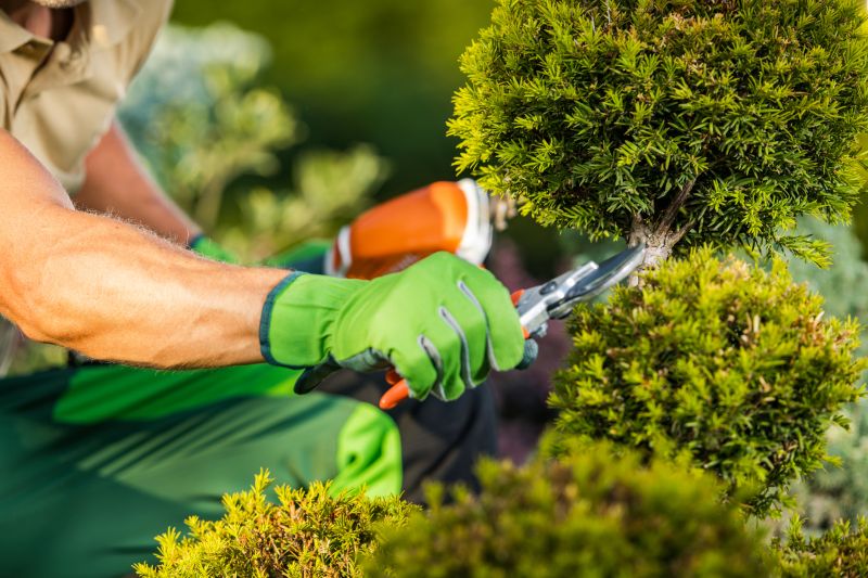Shrub Pruning in Rockwall, TX