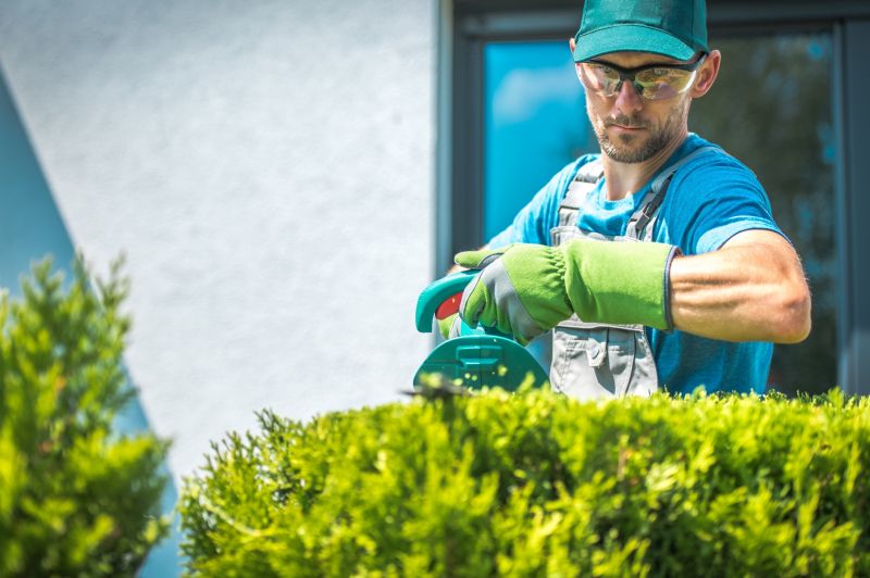 Shrub Trimming in Ventura County, CA