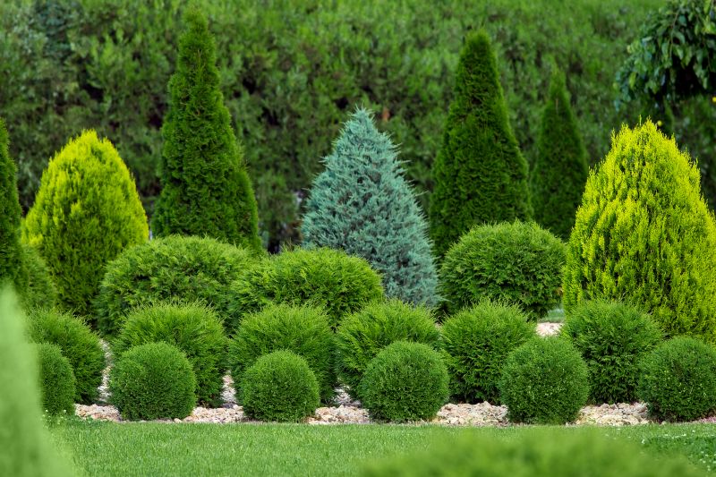 Shrubs Removal in Ventura County, CA