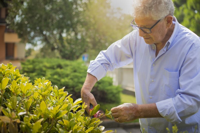 Shrubs Removal in Rockwall, TX