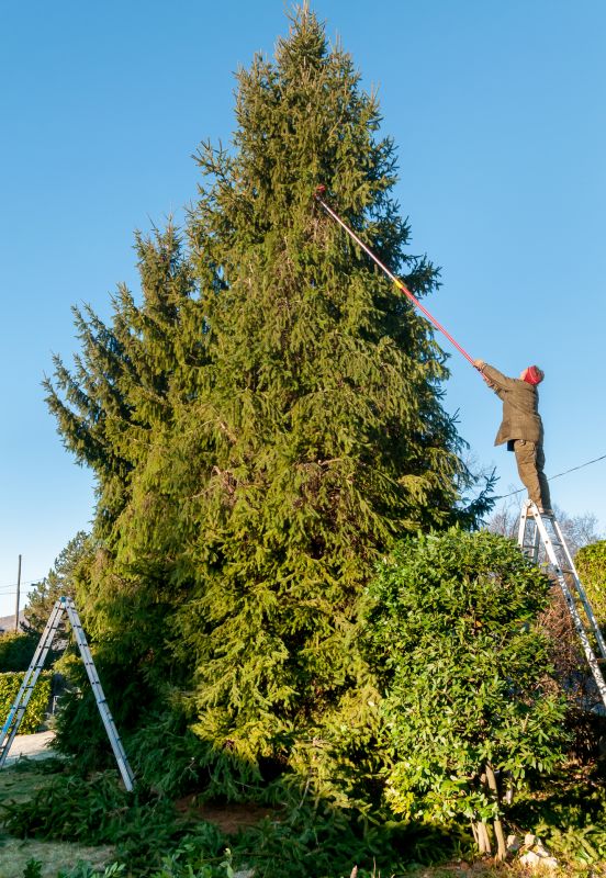 Tree Lopping Service in Pottstown, PA