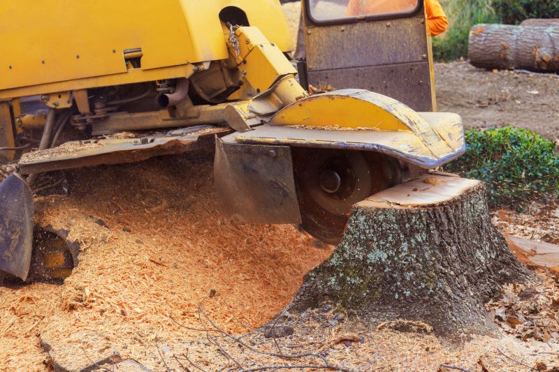 Tree Root Grinding in Calvert County, MD