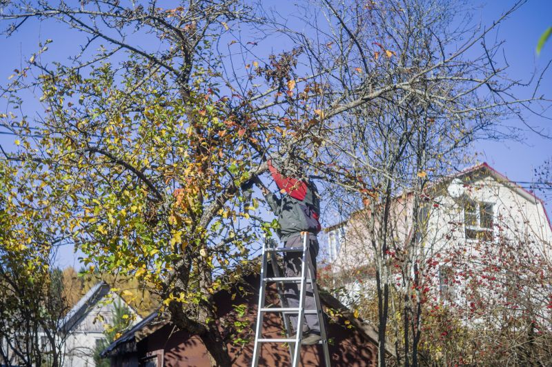 Tree Service in Aiken, SC