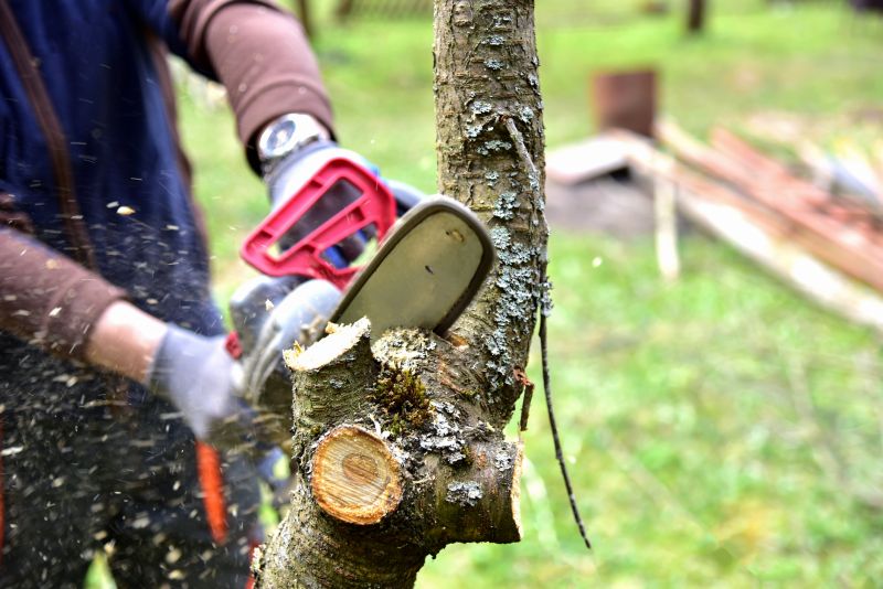 Tree Shearing in Doylestown, PA