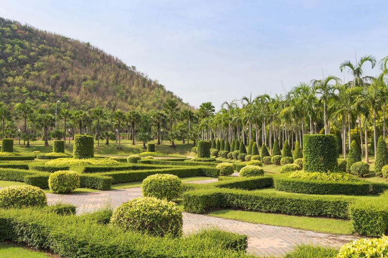 Landscape Tree Trimming